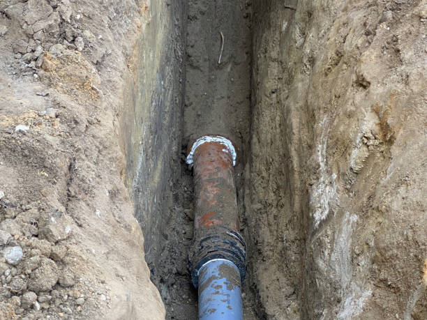 Best Flood restoration services  in Newton, TX