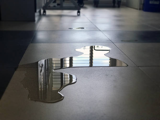 Best 24/7 water damage repair  in Newton, TX